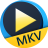 Aiseesoft Free MKV Player(MKV������)