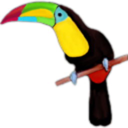 Toucan