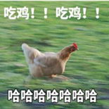 �Լ��Լ������