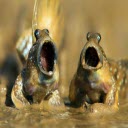 ��Ϳ��Ժ�����