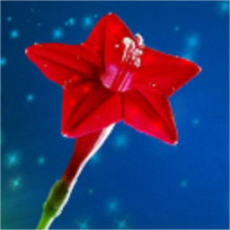 ��ʽ����