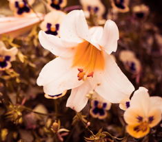 ��������Ԥ���Լ���һ����