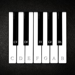 Virtual Piano