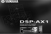 DSP-AX1Ӣ˵