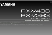 RX-V493˵°