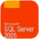 sql2005 Sp464λ