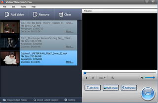 Ƶˮӡ(Video Watermark Pro)