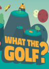 what the golf ���İ�