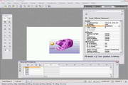 KoolMoves Flash Editor