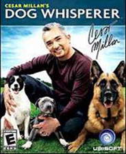 �����������Ĺ�����