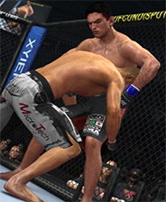 �ռ��񶷹ھ���2010