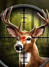 �������ԣ�������½