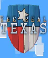 ��ʵ����