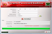 OraclePasswordAuditor