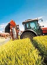 ��ʵũ��ģ��