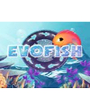 �������������