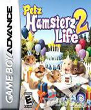 ��������2