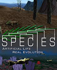 ���֣�������������ʵ����