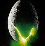 ������Լ