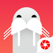 ���������ֻ�