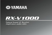 RX-V1000˵