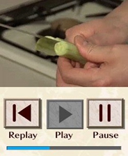 ��˵����DSʳ��