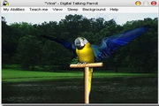 AV Digital Talking Parrot