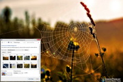 Cobweb Windows 7 Theme