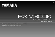 RX-V300K˵