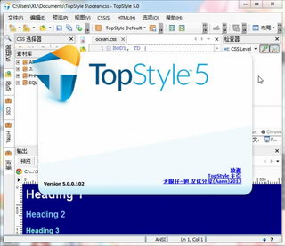 TopStylePro(CSS)ذ