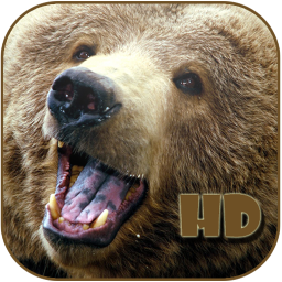 Bear Screen Savers