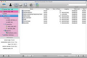 NavicatEssentialsforOracleForMacMAC