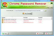 Chrome Password Remover