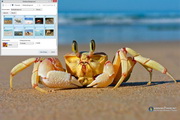 CrabWindows7Theme