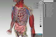 3DBodyάѰ