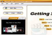 iSkysoft Video Converter