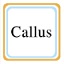 Callus