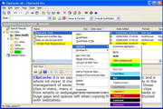 ClipCache Pro