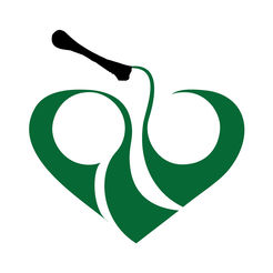 ���ƽ���