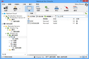 Navicat for Oracle 11 (ݿ)