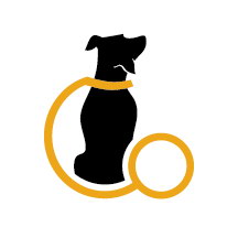 ҹ��GO������