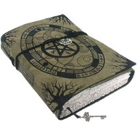 galgame������vnr