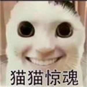 è���ع�èè����