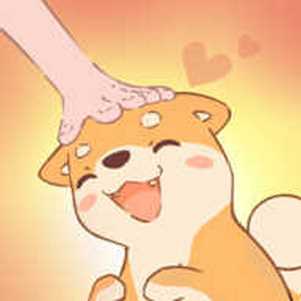 �ȳ�����