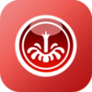 ����ʤ����ױ