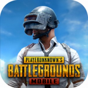 pubgʷ