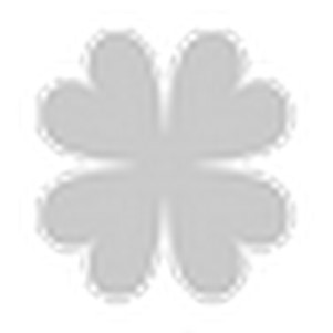 Clover��Ҷ��