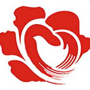 ů���ƻ���ֻ�����