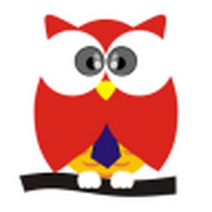 �ȳ�(�罻��Ѷ)