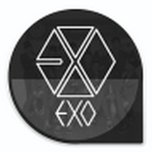 �ڴ�•EXO
